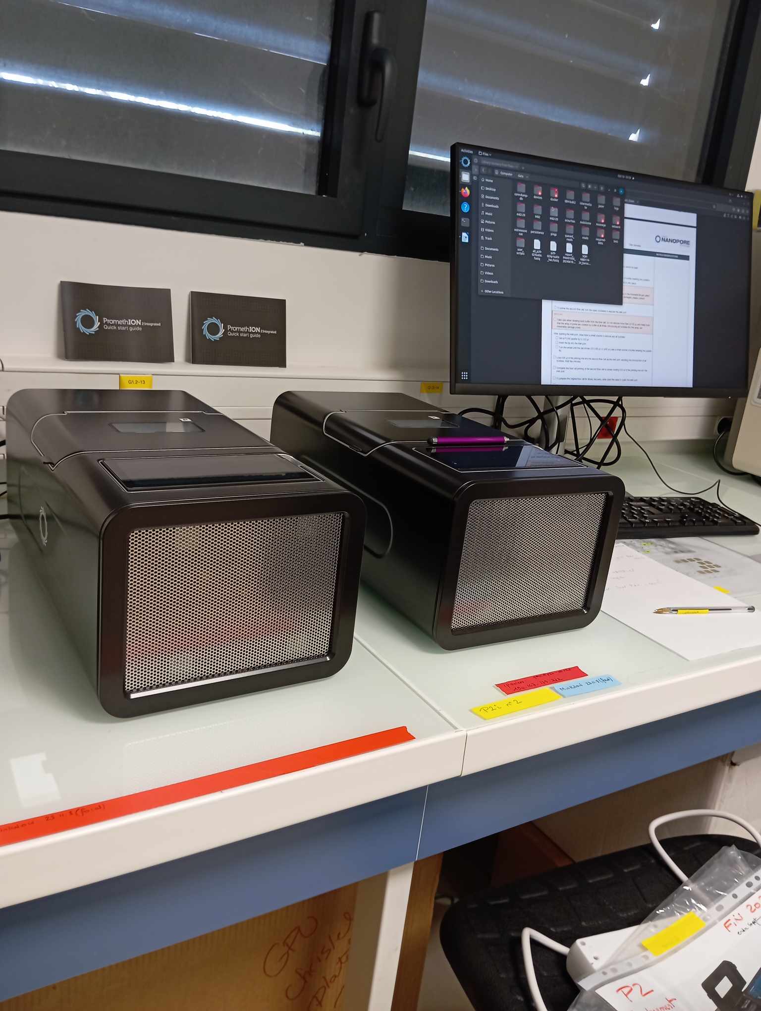 PromethION (P2I)