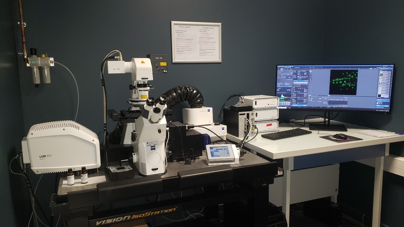 confocal