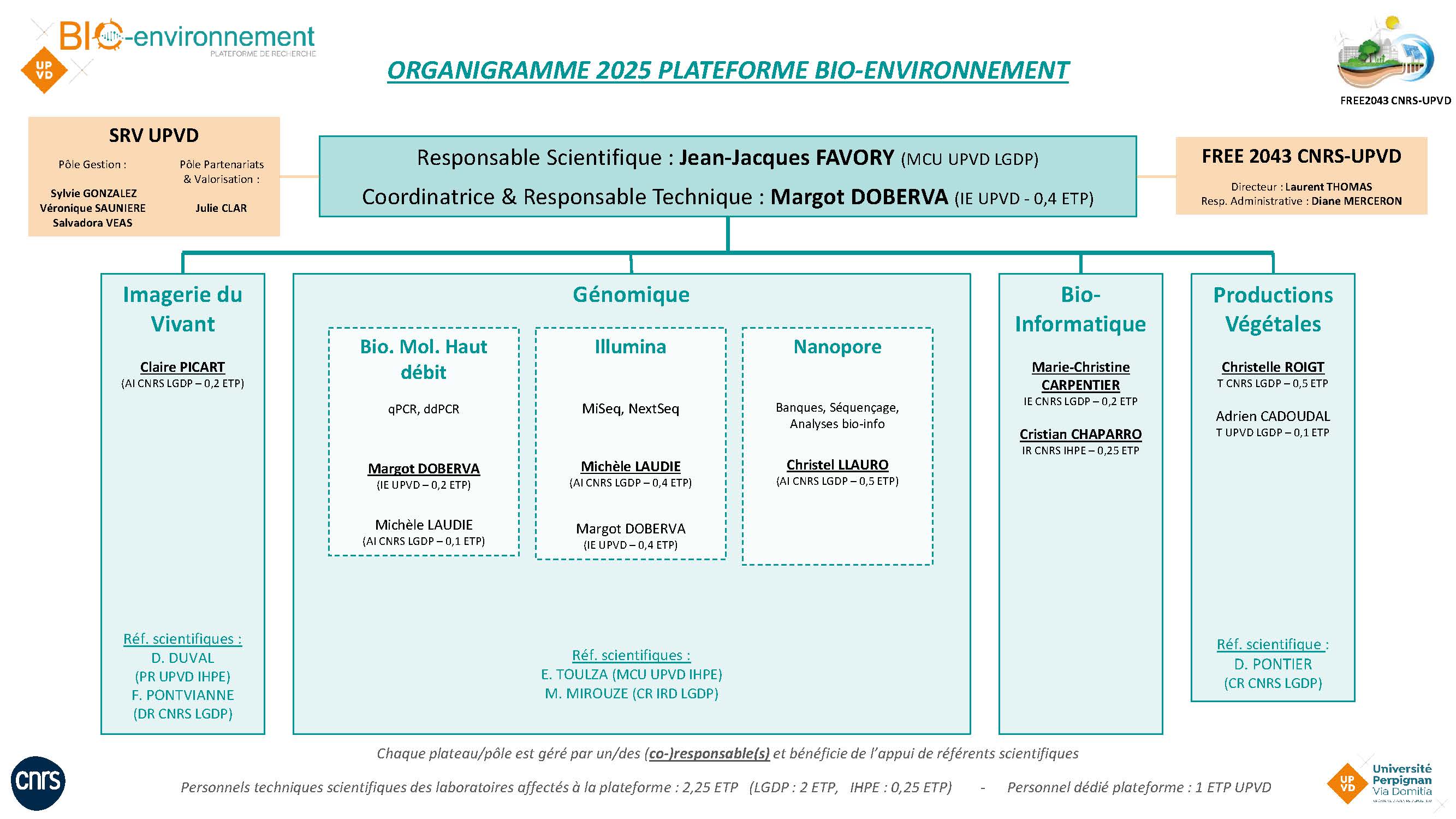 organigramme 01092025