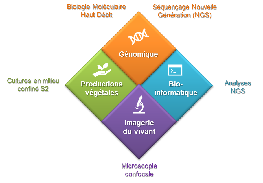 bioenv